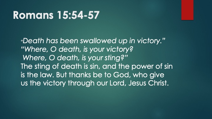 AMISAVED_2_s09 AMISAVED_2_s09