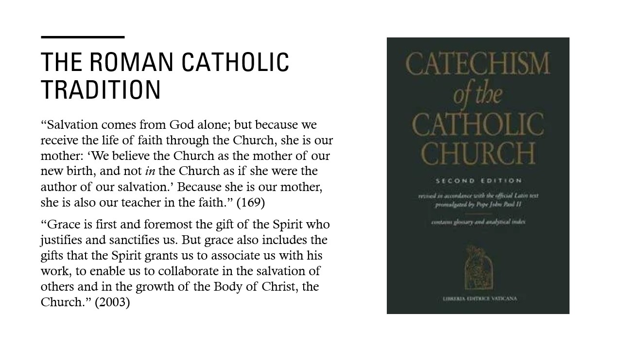 AMISaved_3_s19 AMISaved_3_s19