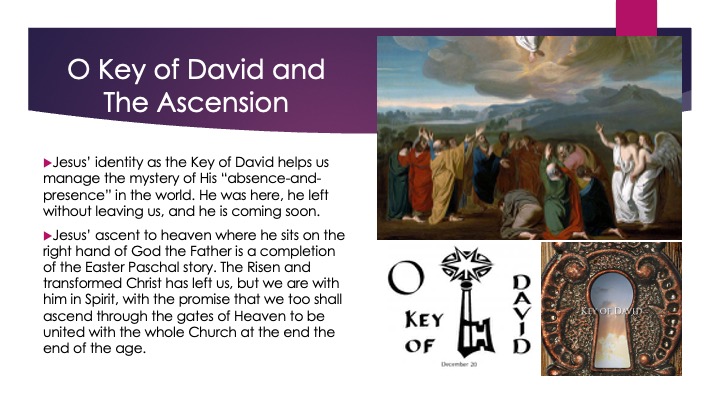 O_Antiphons_2_s14 O_Antiphons_2_s14