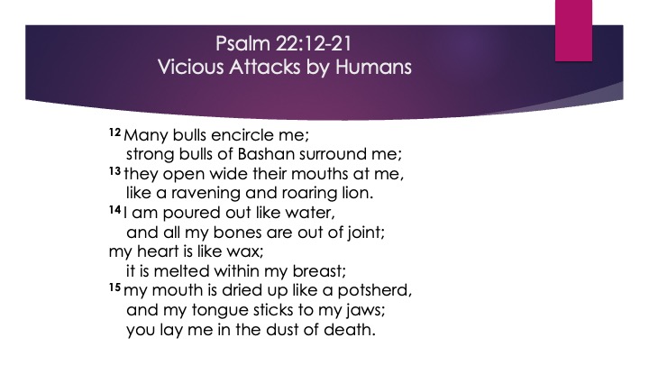 Appoint_Destiny_6_s16