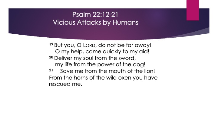 Appoint_Destiny_6_s18