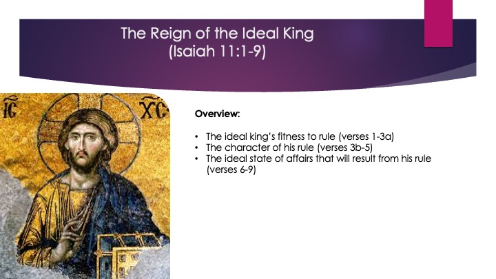 Appoint_Destiny_2_s19