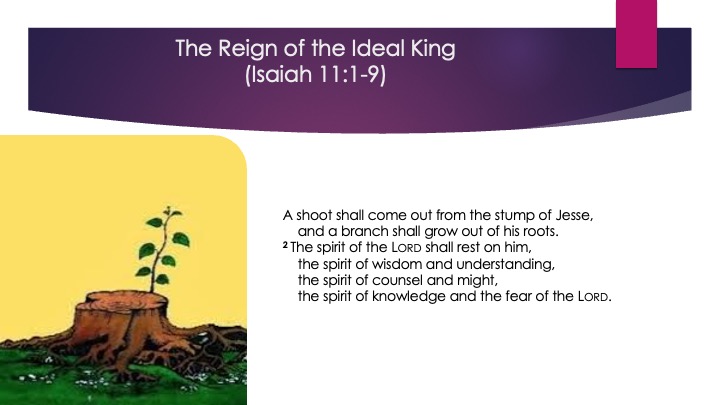 Appoint_Destiny_2_s20