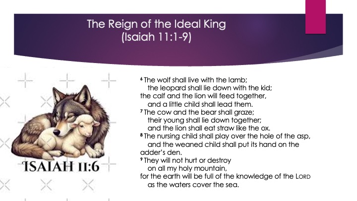 Appoint_Destiny_2_s22