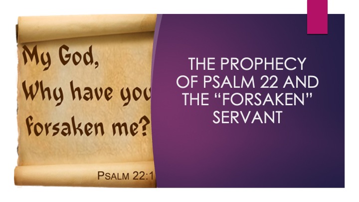 Appoint_Destiny_6_s03