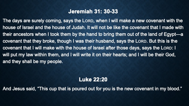 Bible_01_s11 Bible_01_s11